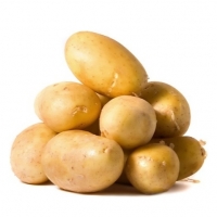 Potato