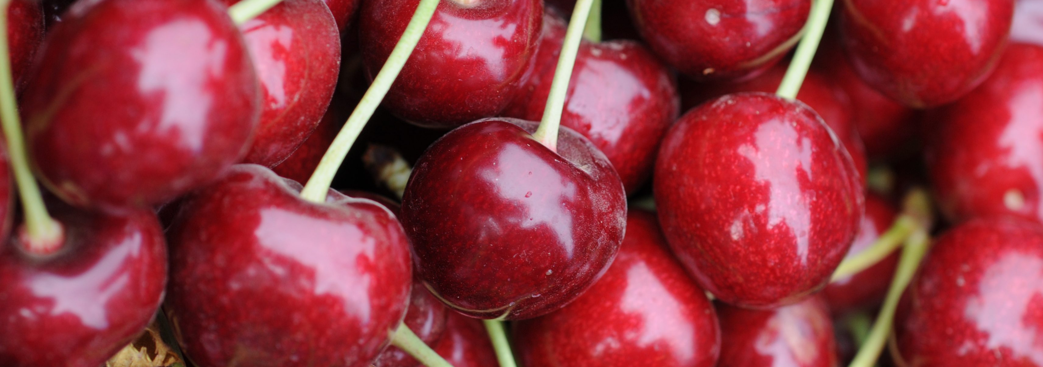 Fresh Fruits