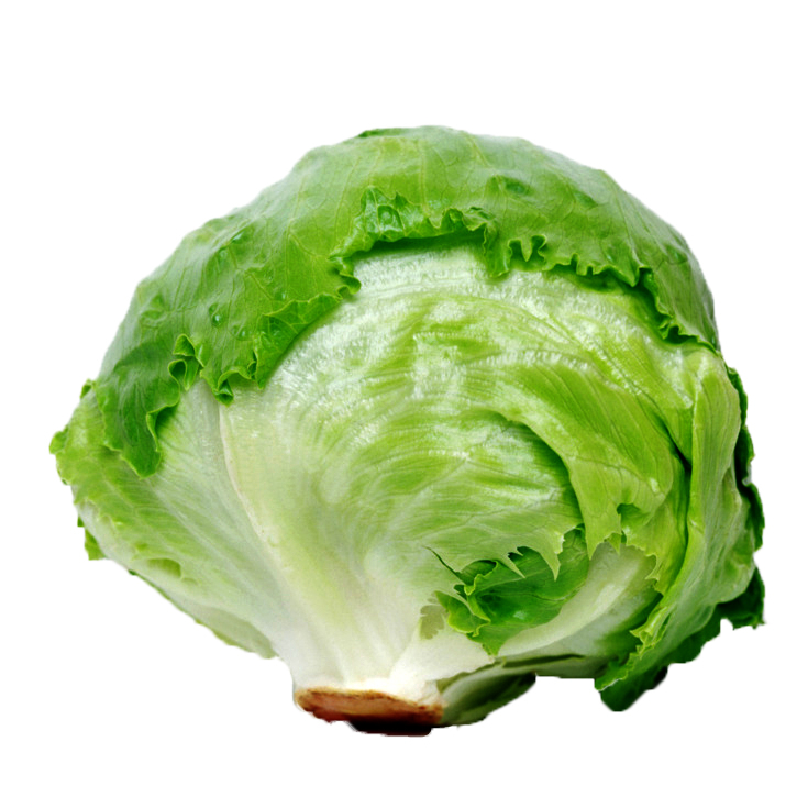 Sahraee Iceberg