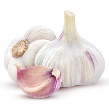 White Garlic