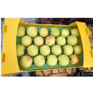 Golden Delicious