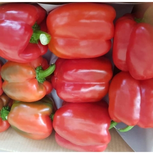 Red Bell Pepper