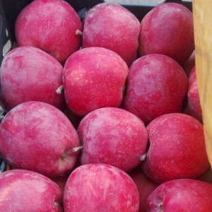 Red Delicious