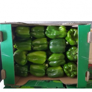 Green Bell Pepper