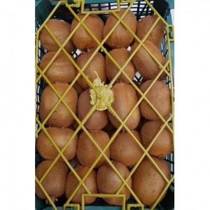 Kiwifruit