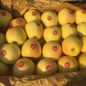 Golden Delicious