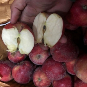 Red Delicious