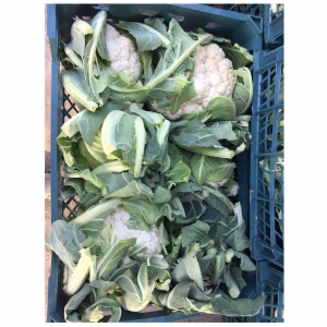 White Cauliflower